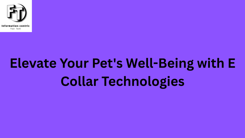 E Collar Technologies: Enhance Your Pet’s Life with E Collar Technologies